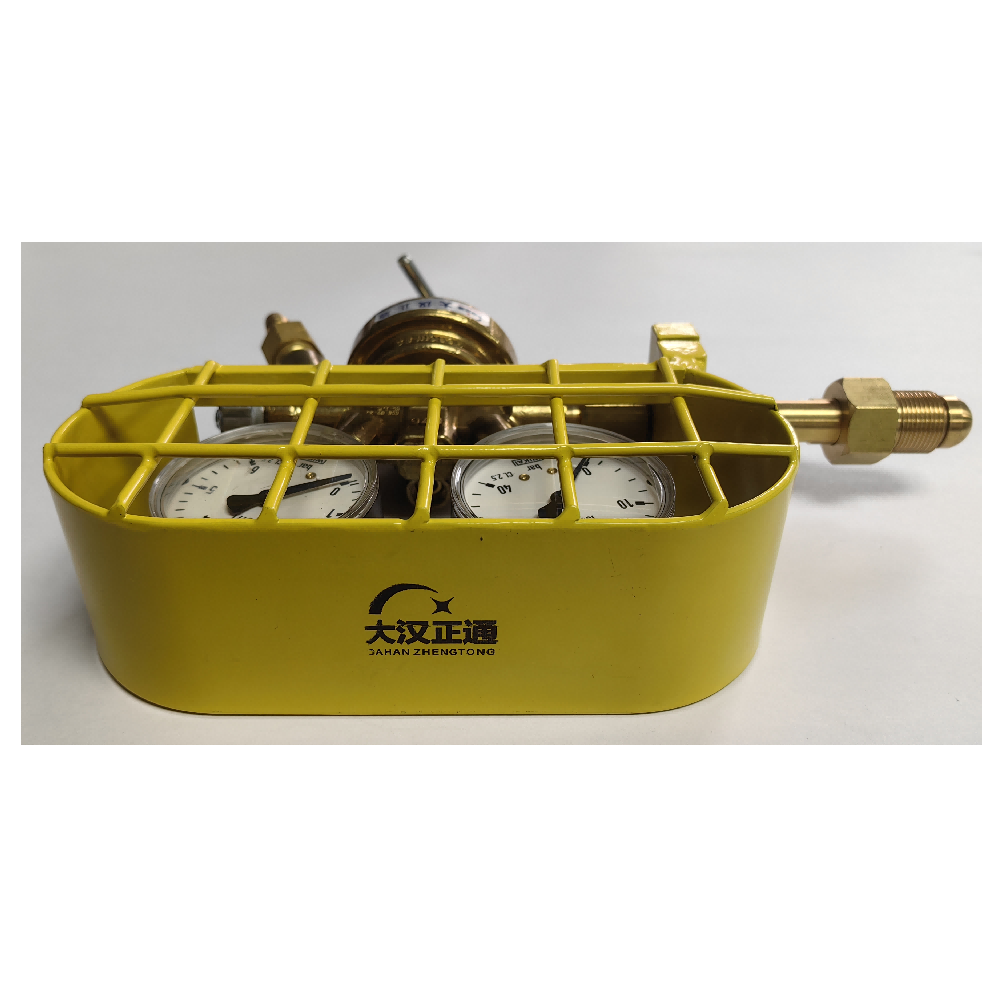 大汉正通 丙烷表总成 ZT-16/315bar 套