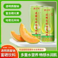 磨云轩透明质酸钠富硒多重水营养零脂肪零激素哈密瓜风味饮料