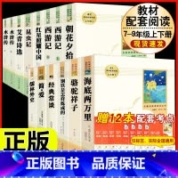 [人教版14册]七八九年级上下册初中必读名著十二本 [正版]九年级下册 契诃夫短篇小说选原著完整版人教初三初中生9必读课