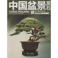 正版新书]中国盆景赏石:2013中国盆景活动回顾专辑中国盆景艺术