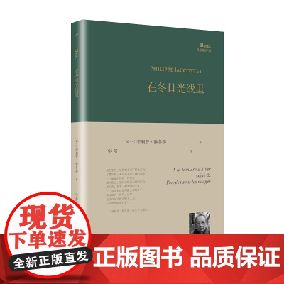 在冬日光线里(巴别塔诗典系列-精装本)