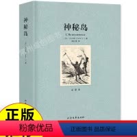 [正版]足本无删减神秘岛(法)凡尔纳著 全译本完整中文版 外国世界经典文学名著小说书籍故事原版 初中高中课外读物成人阅
