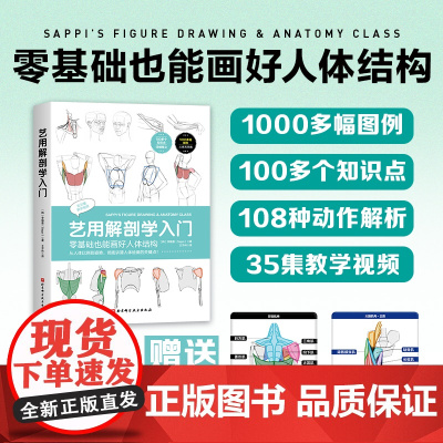 艺用解剖学人门 绘画美术 3招吃透解剖学 新手也能画出灵动人体 北京科学技术