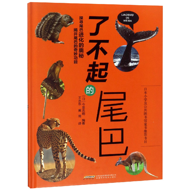 音像了不起的尾巴(精)编者:(日)今泉忠明|译者:王永东//黄周