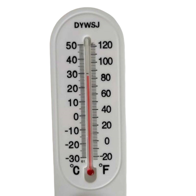 智铮朗月 温湿度计 DYWSJ 个