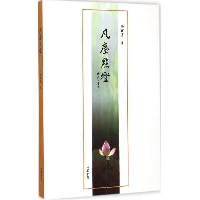 正版新书]凡尘点灯杨述勇9787512016255