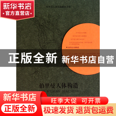 正版 伯里曼人体构造/伯里曼人体绘画教程全集 (美)乔治·B·伯里曼