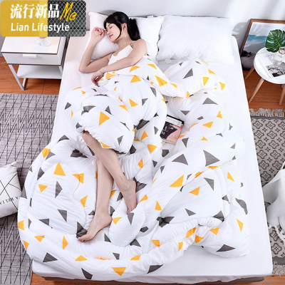 被子加厚保暖冬被芯学生宿舍单人冬天棉被双人四季通用空调春秋被 三维工匠