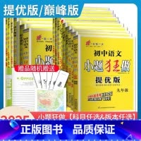 [提优版]中考物理 九年级/初中三年级 [正版]2025初中小题狂做提优版巅峰版九年级上册下册语文数学英语物理化学同步初