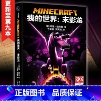 [正版]我的世界书小说 末影龙 沉船山破碎海岛失落的日记末地远航地下城奇厄教主的崛起中文版小说故事书初中生课外阅读