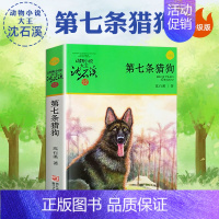 第七条猎狗 [正版]白象家族沈石溪小学四年级五年级全集全套书浙江少年儿童出版社非注音版完整版动物小说大王品藏书系小学生课