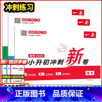 3本套装❤️语文+数学+英语❤️全国通用 小学升初中 [正版]2025版一本小升初冲刺新卷语文数学英语必刷题全国通用小学