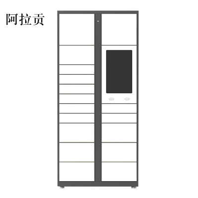 阿拉贡智能快递柜小区快递自提柜派件柜室外寄存柜信报箱储物柜主柜17格