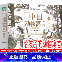 给孩子的动物寓言 三年级版 [正版]乌丢丢的奇遇金波著三年级下册必读课外书彩色版五六年级上册级二年级小学生阅读书籍四年级
