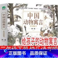 给孩子的动物寓言 三年级版 [正版]乌丢丢的奇遇金波著三年级下册必读课外书彩色版五六年级上册级二年级小学生阅读书籍四年级