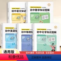 [全套5本]语数英物化 初中通用 [正版]初中语文数学英语物理化学知识图解全套初一初二三公式定理基础知识清单手册大全七八