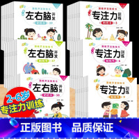 [套装]专注力+左右脑 40册 [正版]动手动脑专注力训练贴纸书宝宝0到3-6岁绘本早教书籍左右全脑潜能开发婴幼儿思