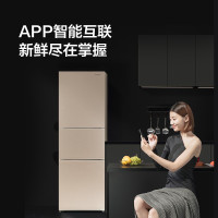 松下冰箱 NR-EC26WPA-N 265升 超薄宽幅变温风冷无霜变频WIFI智能三门冰箱 2021新品 小冰箱 金色