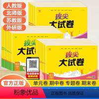 [语文+数学+英语]人教版 三年级下 [正版]2024新通成学典拔尖大试卷小学生一二三四五六年级下册语文数学英语试卷测试