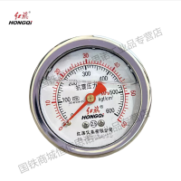 红旗 轴向耐震压力表定制检测款YTN60Z 60MPA 块