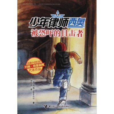 正版新书]少年律师西奥系列?被恐吓的目击者约翰·格里森姆978754