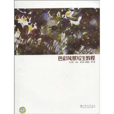 正版新书]色彩风景写生教程张洪亮 著9787512307247