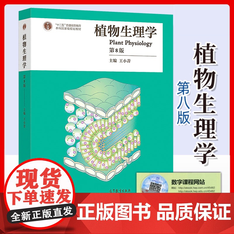正版]植物生理学 第八版8版王小菁 高等师范院校综合性大学和农林院校的植物生理学教材 植物学生物学考研书籍潘瑞炽改版