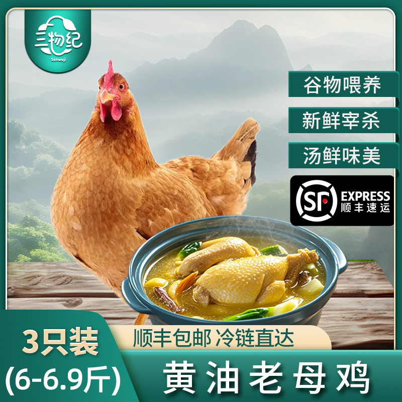 [苏鲜生推荐]三物纪 正宗皖南黄油老母鸡2-2.3斤/只 3只装 新鲜现杀整鸡净膛冷冻竹林慢养走地鸡