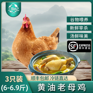 [苏鲜生推荐]三物纪 正宗皖南黄油老母鸡2-2.3斤/只 3只装 新鲜现杀整鸡净膛冷冻竹林慢养走地鸡