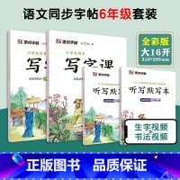 [语文临摹套装]6年级上册+下册(送听写默写本) 小学六年级 [正版]六年级下册语文字帖练字小学生硬笔书法字帖一课一练字