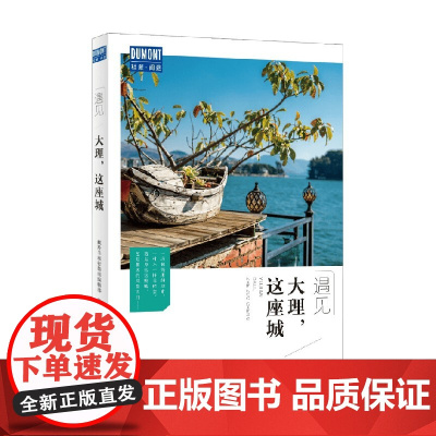 大理 这座城 藏羚羊旅行指南编辑部 著 旅游地图