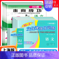 语文试卷+答案 2023高考二模 [正版]2024年版上海高考一模二模卷语文数学英语物理化学历史政治生命科学生物 文化课