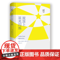 屋顶上星光闪烁 乔安娜?瑟戴尔 中国国际广播出版社 正版书籍