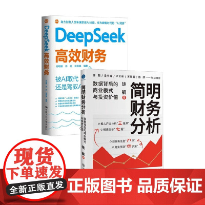 Deepseek高效财务+简明财务分析 孙玥璠等 著 管理