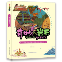 醉染图书奇妙的岩石9787542774590