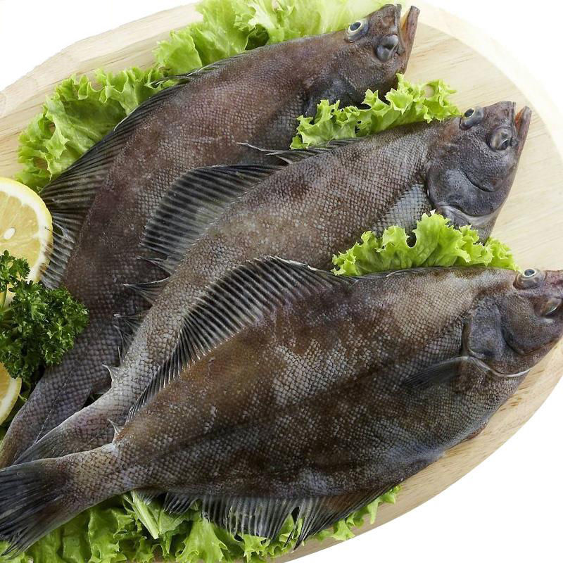 内脏净重] 一条[鲽鱼整条比目鱼带头去脏鱼深海鲽鱼新鲜鲽鱼多春鱼