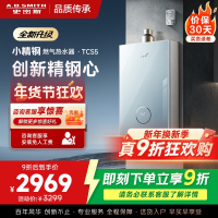 史密斯佳尼特[小精钢TCS5]16升精钢燃气热水器 国家补贴 JSQ31-TCS5 安全守护 持久恒温大水量 新品