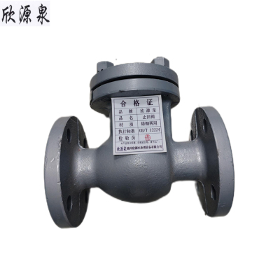 欣源泉 止回阀 DN250 /个
