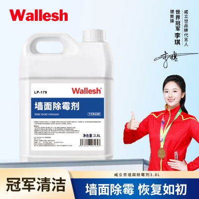 威立世Wallesh 墙面除霉剂3.8L