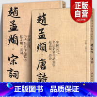 [正版]全套2册 赵孟頫宋词+唐诗 中国历代书法名家作品集字 繁简对照毛笔临帖集字古诗词赵孟俯行书楷书行草字帖临摹范本
