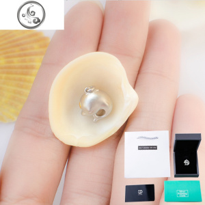 日式轻奢海豚闺蜜项链女可爱超萌韩版简约学生小众设计锁骨链纯银 JiMi