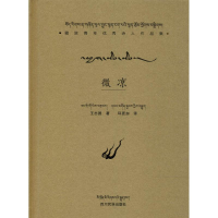 音像微凉王志国 著;环更加 翻译