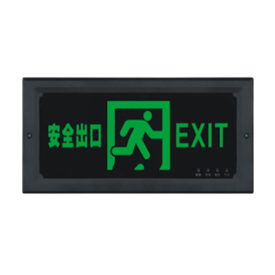 讯博士 BZD230 220V 3W IP66 LED 应急时间≥90min 消防应急标志灯具 1.00 盏/个(计价单位:个)黑色