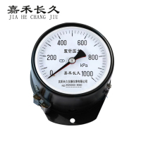 嘉禾长久 轴向双针表 YYS-JY-100Z 24V带灯 台