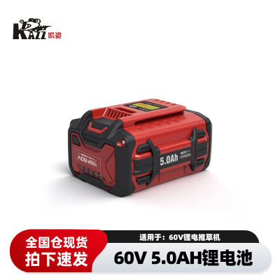 凯姿(KAZZ)60V 5AH锂电池 单位:块