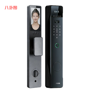 八卦图智能门锁F09 3D人脸识别掌静脉电子猫眼主被动可视对讲远程开锁自动上锁