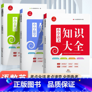 语文知识大全 小学通用 [正版]教育小学语文数学英语知识大全人教版一二三四五六年级小升初小学1-6年级知识点全收录小考真