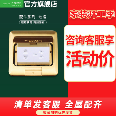 施耐德电气 地插 弹出阻尼式地面插座 五孔插座 全铜质防水阻尼式 电脑五孔地插 隐藏式地板地面插座 电话网络 铜质 阻尼