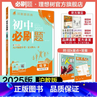 化学 HJ 九年级下 [正版]理想树2025版初中九年级下册化学沪教版HJ初三同步练习中考复习资料模拟题辅导书同步练习题