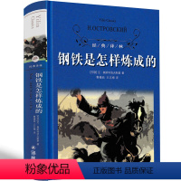 [正版]译林出版社钢铁是怎样炼成的初中小学生原著八年级初中生下册原版完整版人民教育书籍刚铁是怎么炼成的文学小说钢铁是怎